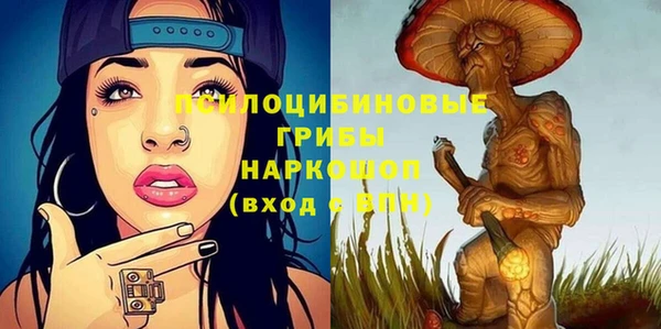 Альфа ПВП Белокуриха
