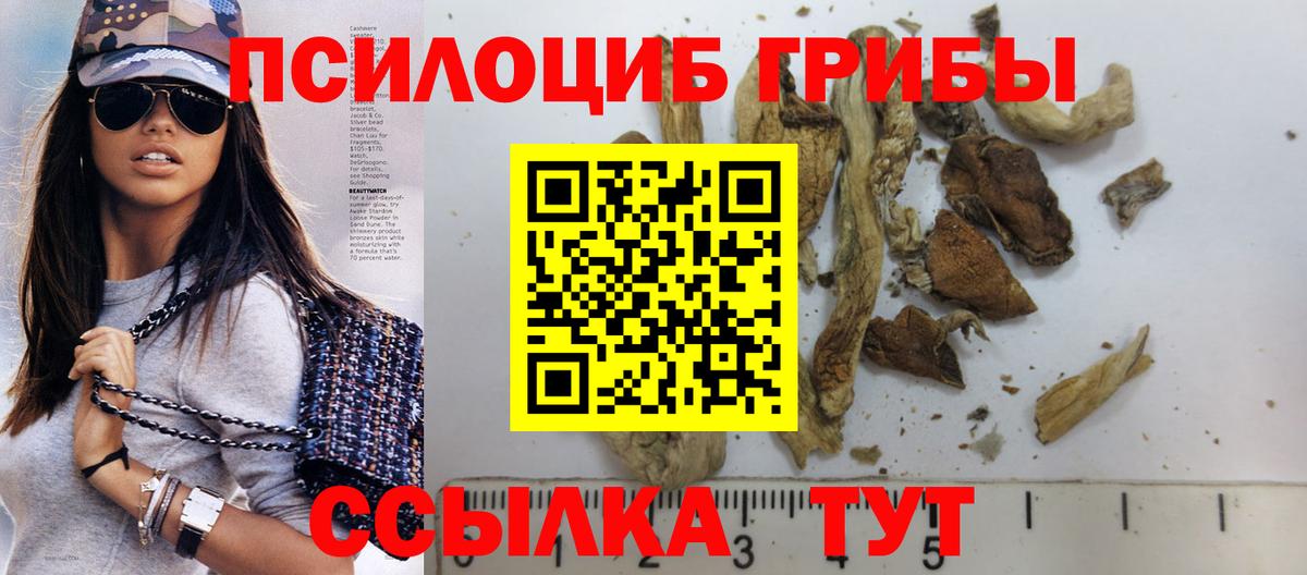 Псилоцибиновые грибы Psilocybe Дагестанские Огни