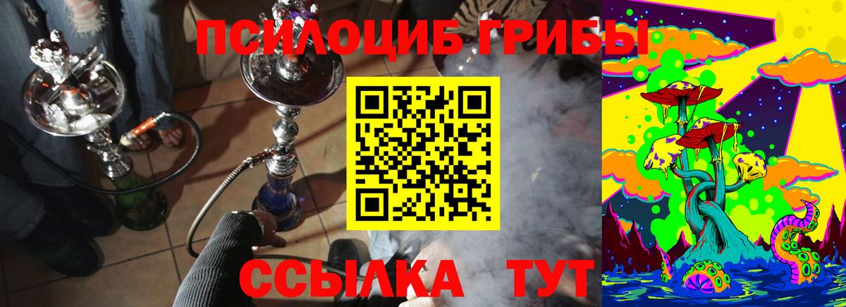 Псилоцибиновые грибы Psilocybine cubensis  Галлюциногенные грибы мухоморы  Дагестанские Огни 