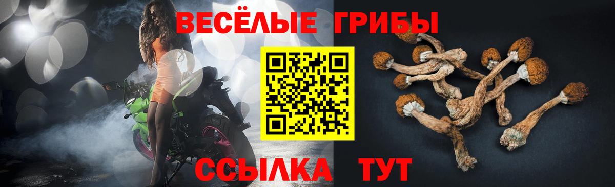 Галлюциногенные грибы ЛСД  Вход с VPN  Дагестанские Огни 